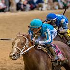 what horse to bet on for kentucky derby